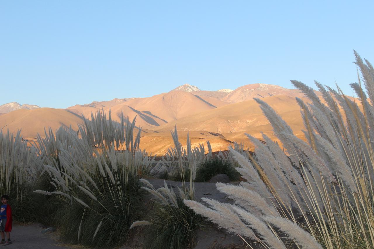 Cabana Nachitor San Pedro De Atacama Esterno foto